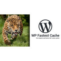 WP Fastest Cache Download(Premium)