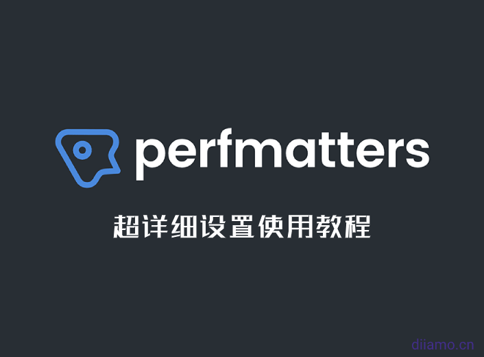 Perfmatters设置使用教程